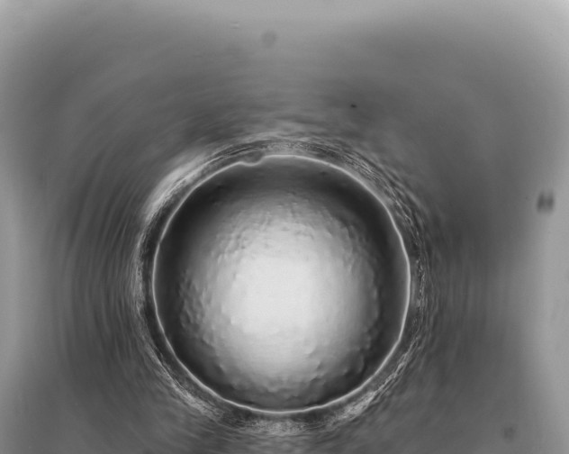 X0000095510245200712211246