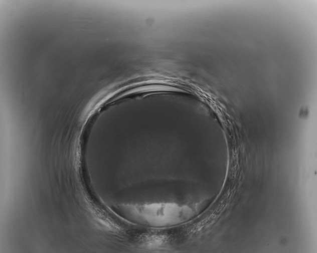 X0000095510247200712211246