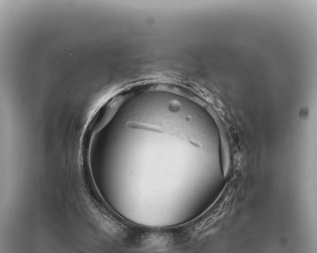 X0000095510248200712211246