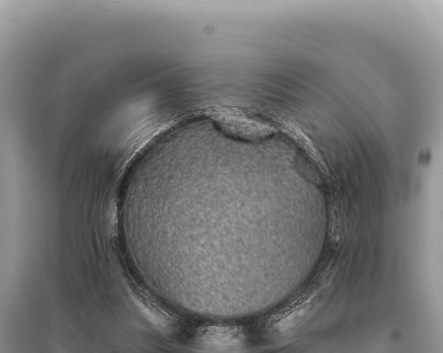 X0000095510251200712211246