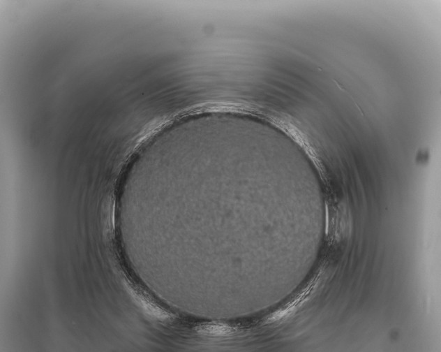 X0000095510253200712211246