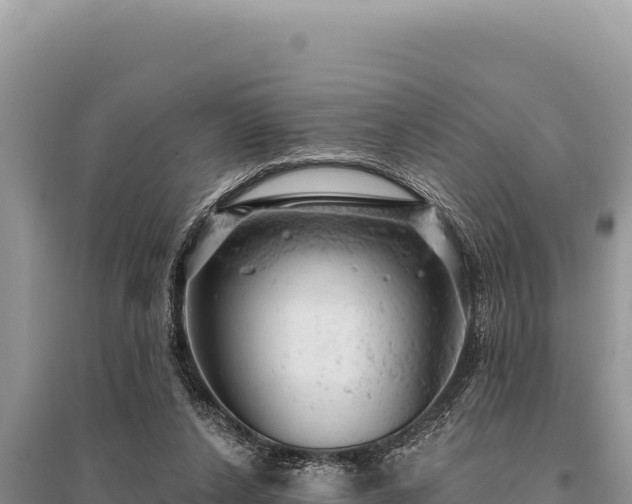 X0000095510256200712211246