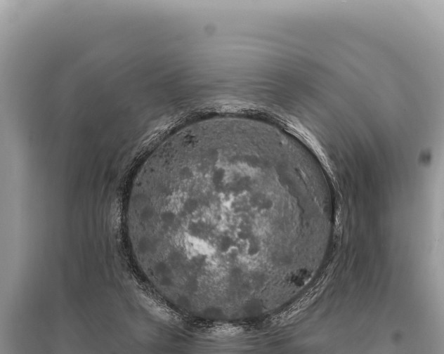 X0000095510257200712211246
