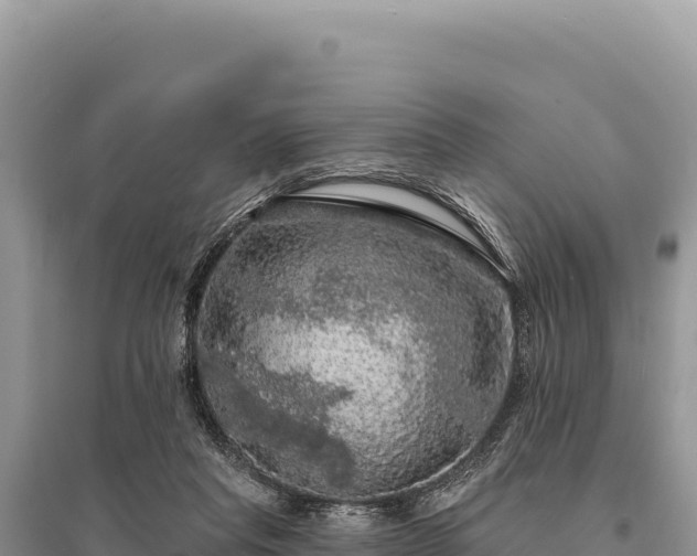 X0000095510261200712211246