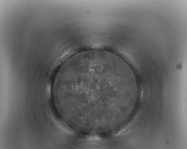X0000095510262200712211246