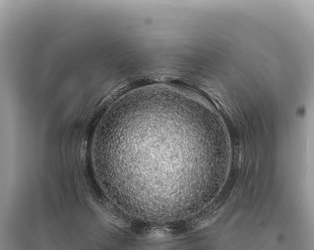 X0000095510263200712211246