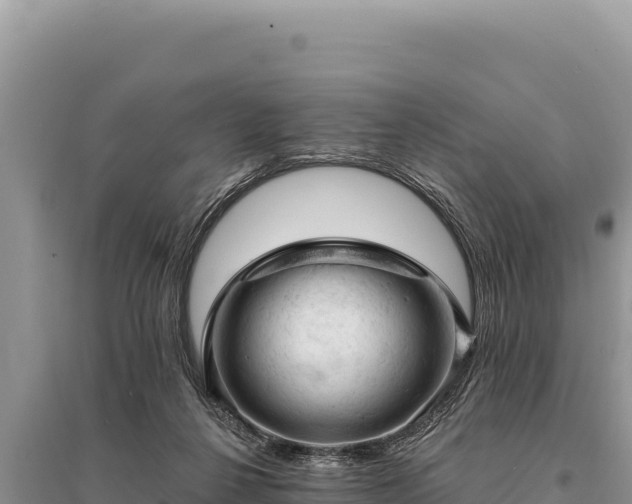 X0000095510264200712211246