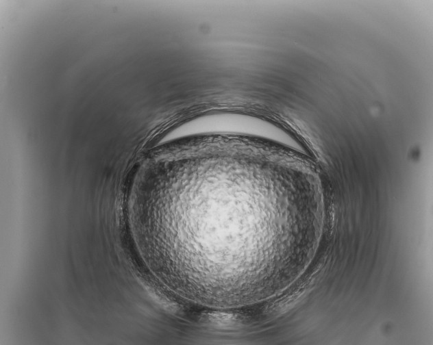 X0000095510265200712211246