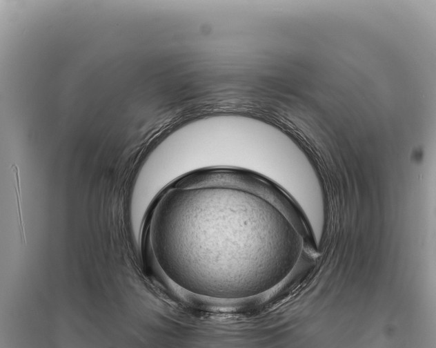 X0000095510268200712211246