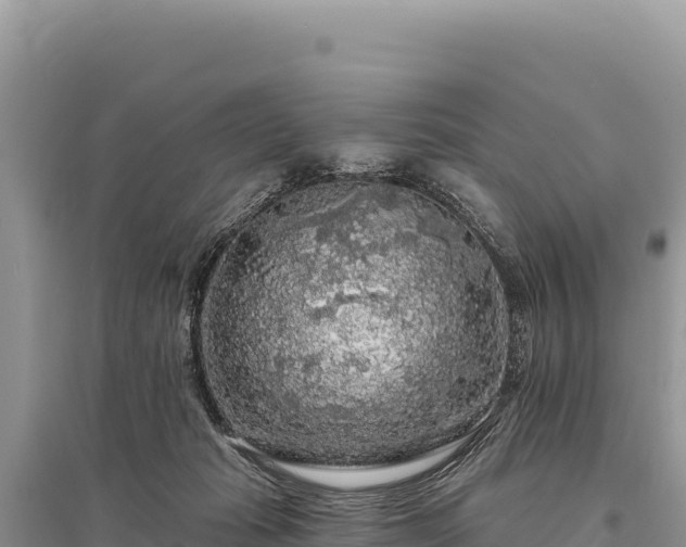 X0000095510269200712211247