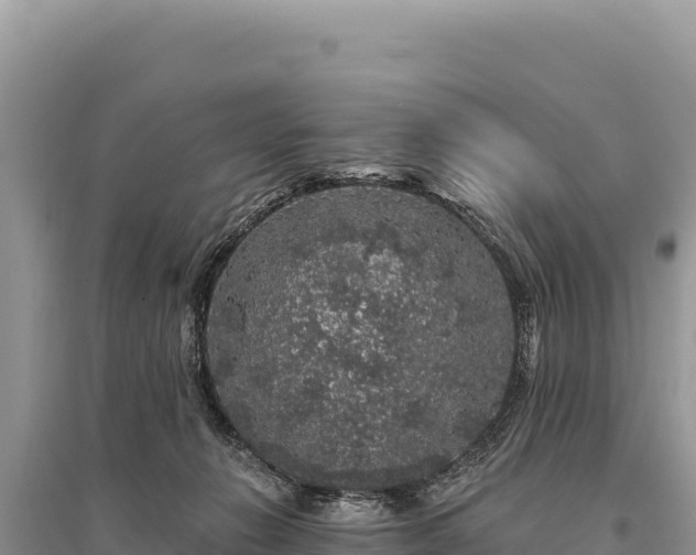 X0000095510270200712211247