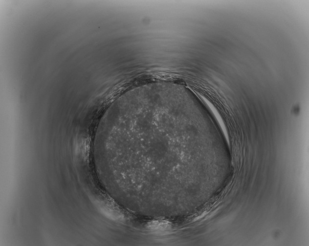 X0000095510271200712211247