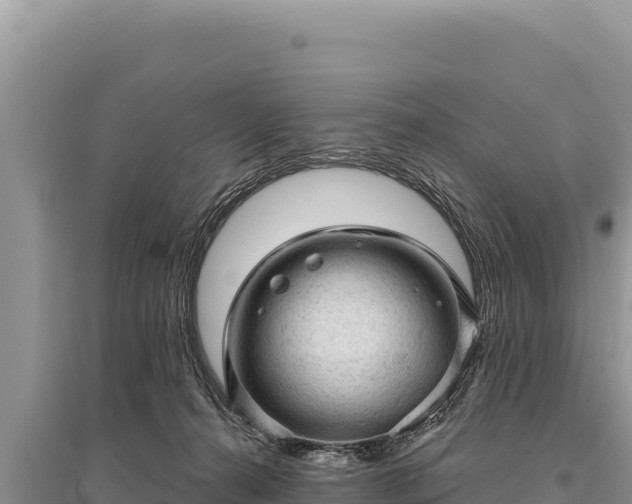 X0000095510272200712211247