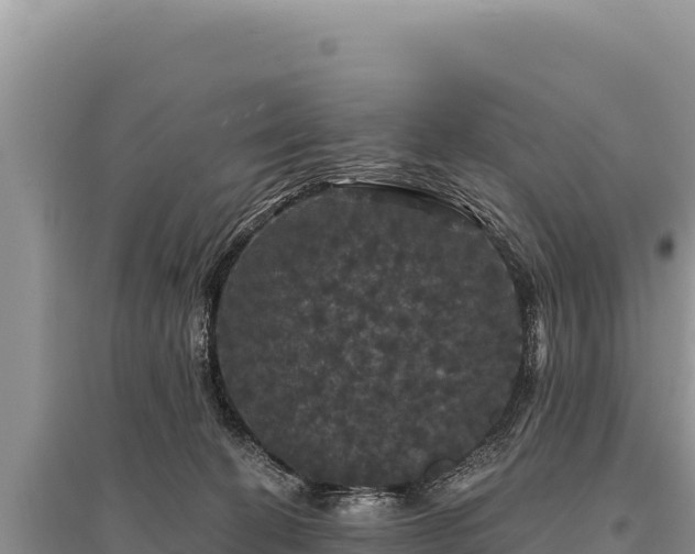 X0000095510274200712211247