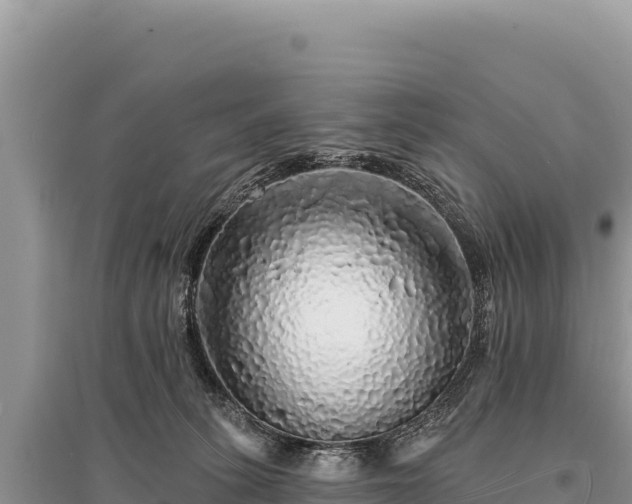 X0000095510275200712211247