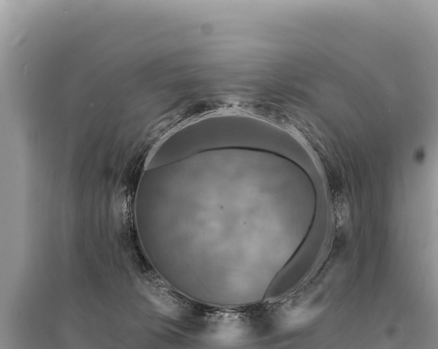 X0000095510276200712211247