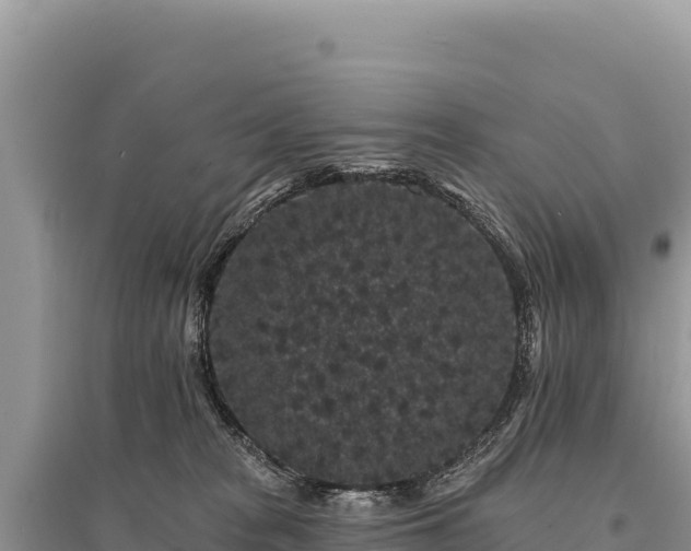 X0000095510277200712211247