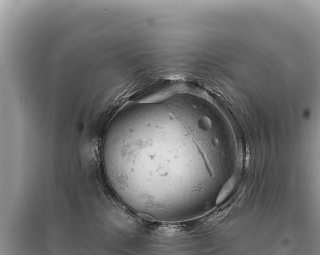 X0000095510280200712211247