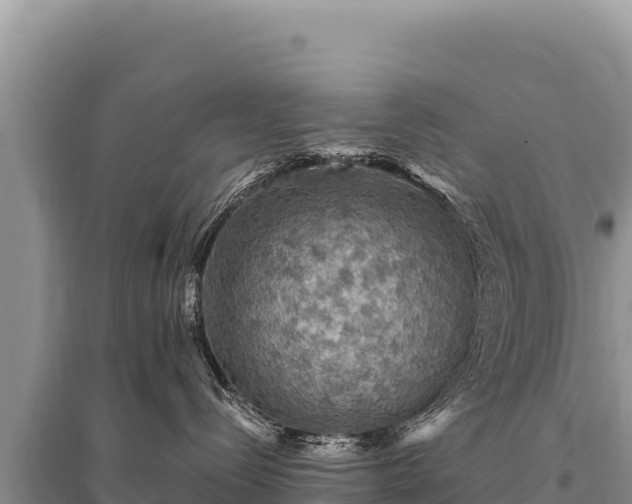 X0000095510288200712211247