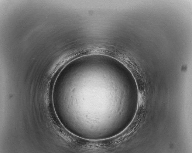 X0000095510291200712211246