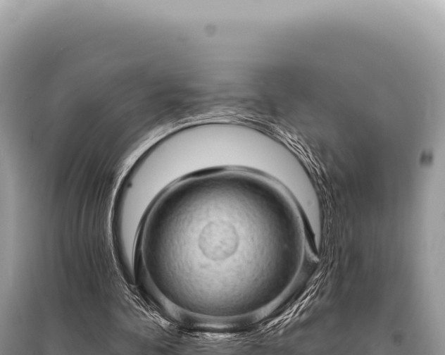X0000095510292200712211246