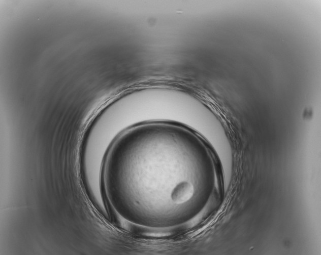 X0000095510293200712211246