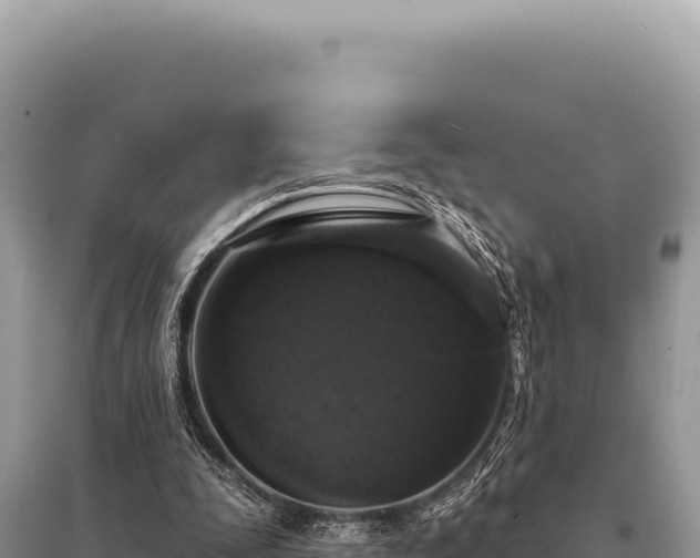 X0000095510295200712211246