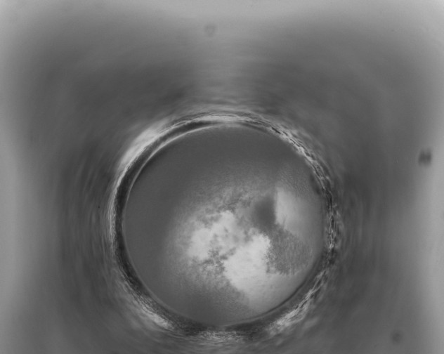 X0000095510296200712211246