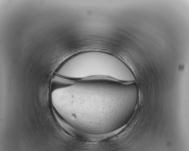 X0000095510301200712211246