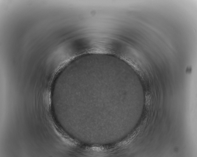 X0000095510302200712211246