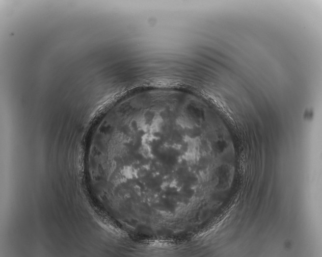 X0000095510303200712211246