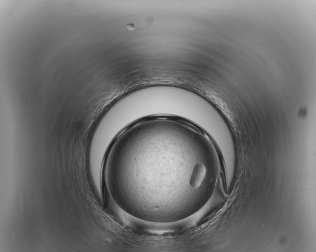 X0000095510305200712211246