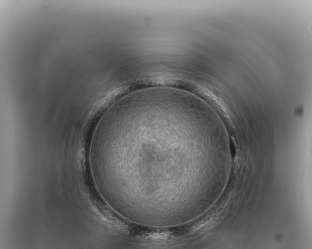 X0000095510306200712211246