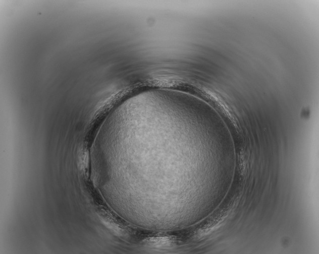 X0000095510307200712211246