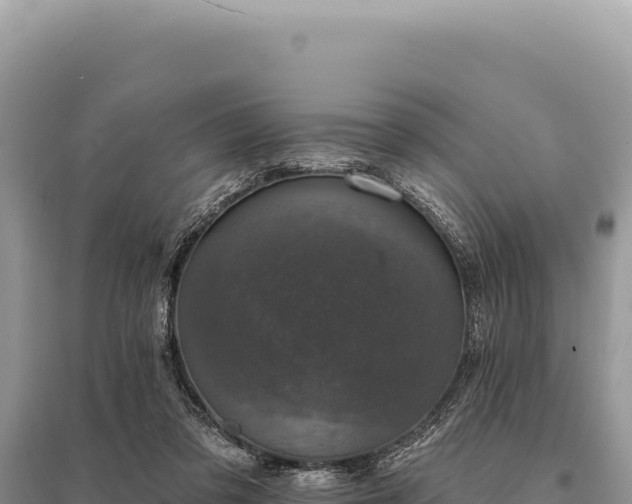 X0000095510309200712211246