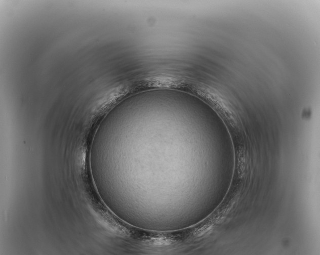 X0000095510310200712211246