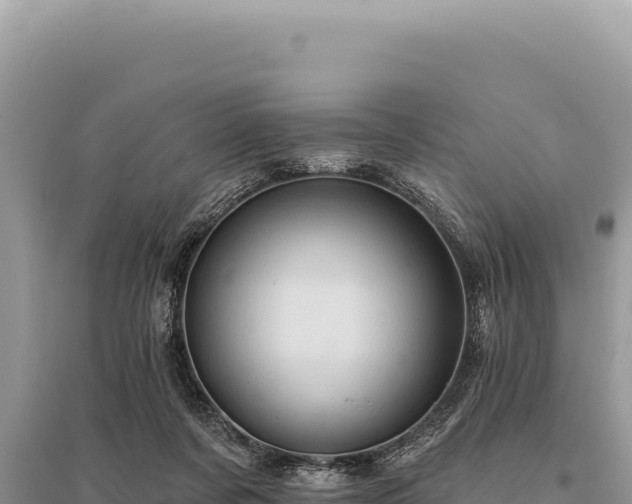 X0000095510311200712211246