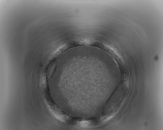 X0000095510312200712211246