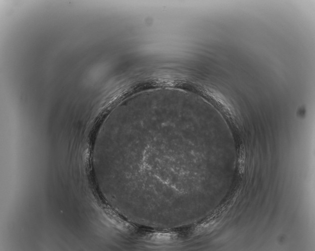 X0000095510314200712211246