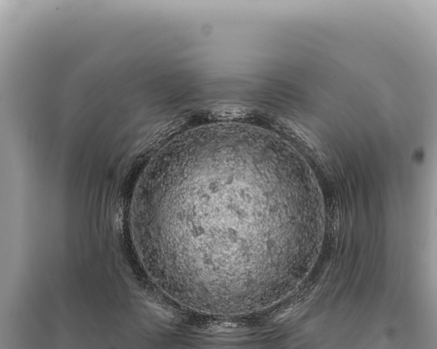 X0000095510315200712211246
