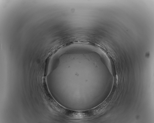 X0000095510316200712211246