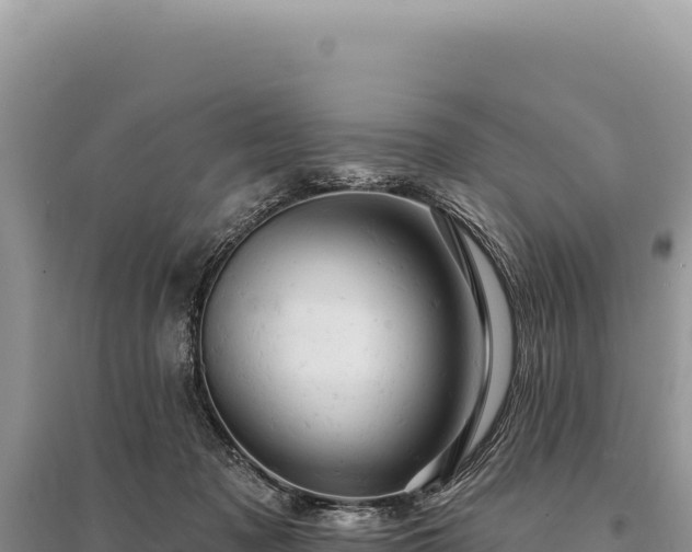 X0000095510317200712211246