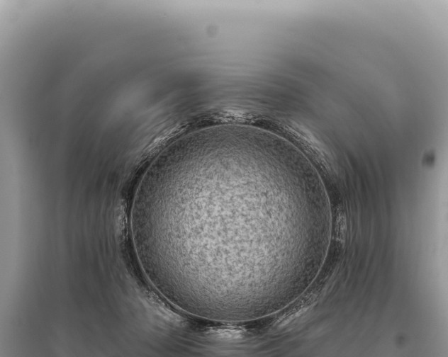 X0000095510318200712211246