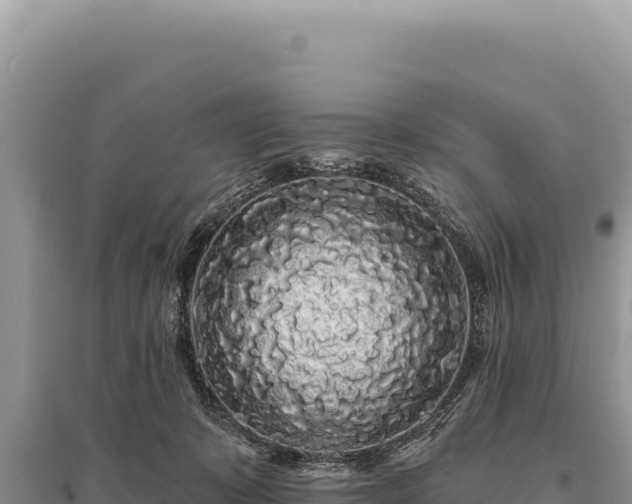 X0000095510319200712211246
