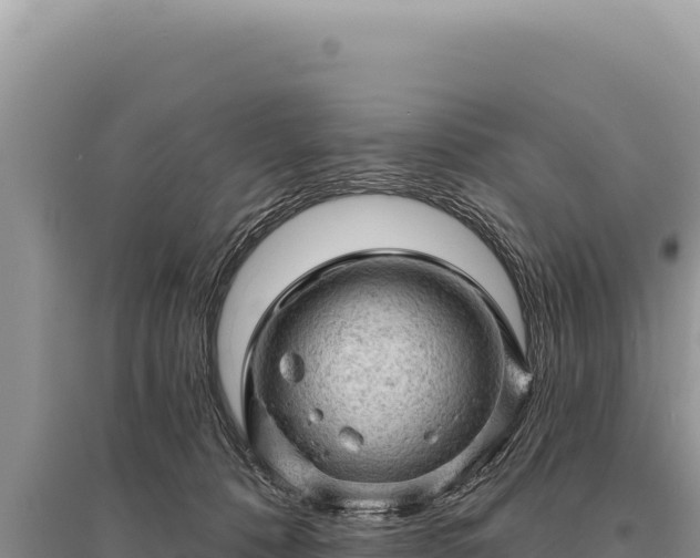 X0000095510320200712211246