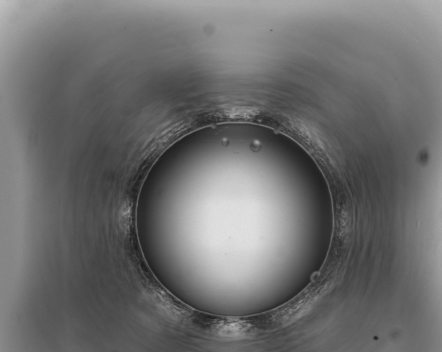 X0000095510321200712211246
