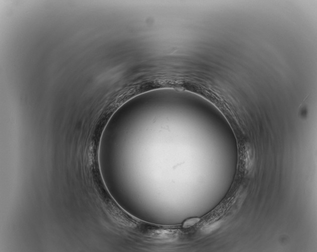 X0000095510323200712211246