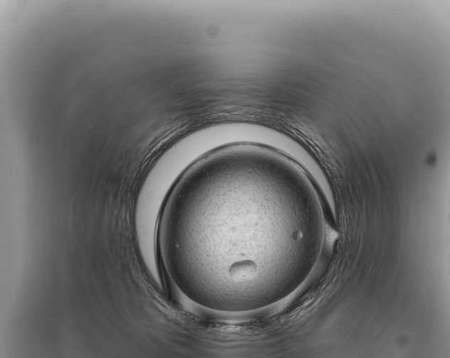 X0000095510325200712211246