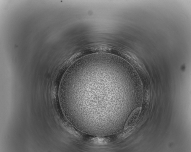 X0000095510326200712211246