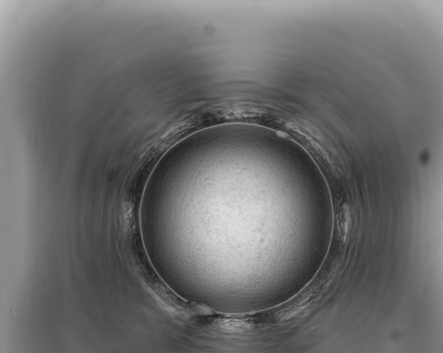 X0000095510327200712211246